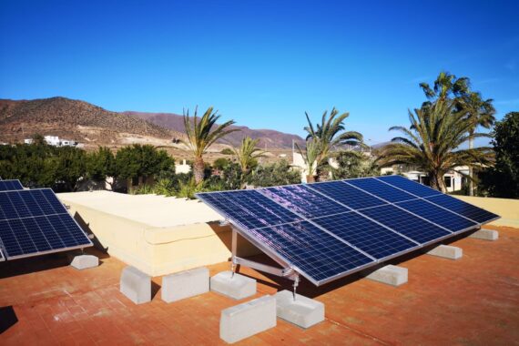Módulos solares en cubierta plana con palmeras y cielo azul