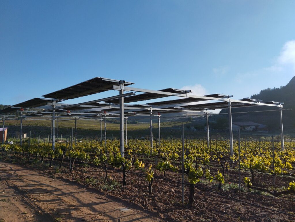 Estructura agrivoltaica elevada con módulos solares sobre las hileras de un viñedo Estructura agrivoltaica elevada con módulos solares sobre las hileras de un viñedo