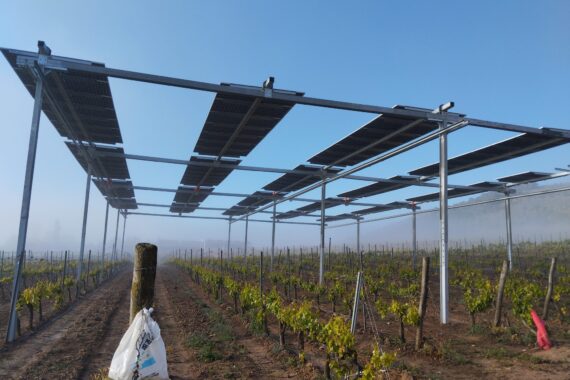 Calle de viñedo bajo la estructura fotovoltaica elevada