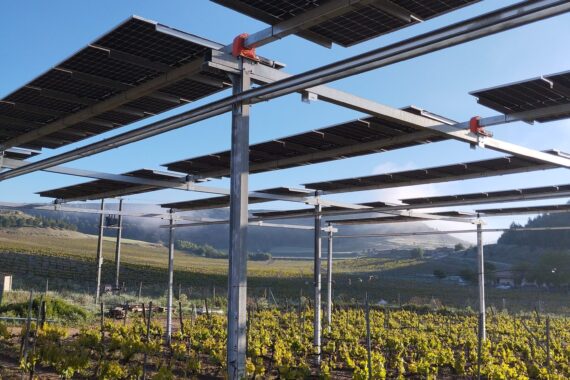 Pilar y módulos de la instalación agrivoltaica sobre las cepas
